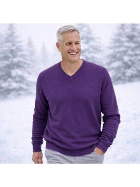 Club Room Estate 100% Cashmere Purple V-Neck Pullover Sweater Mens Large